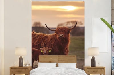 Behang - Fotobehang Schotse hooglander - Dieren - Landschap - Zonsondergang - Koe - Breedte 225 cm x hoogte 350 cm