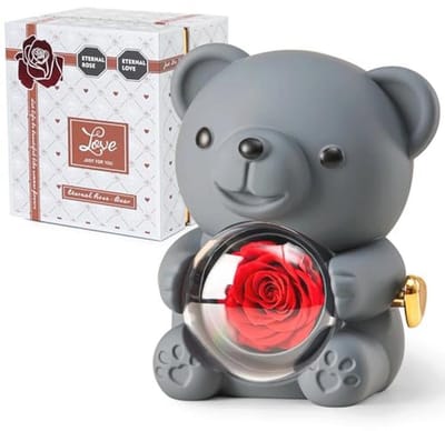 Romantische beer met geconserveerde roos en elegante geschenkdoos - Perfect cadeau voor Valentijnsdag, Moederdag en bruiloften