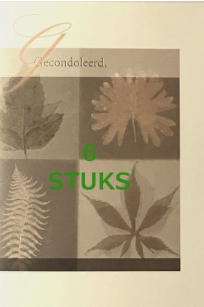6 Luxe Wenskaarten Deelneming - Condoleance - Overlijden - Oprechte Deelneming - Art of Cards - 11,5x17cm - Dubbele Kaart - Met Envelop - Wens Kaart - Greeting Card - In Folie Verpakt - Angel 22 - Gratis Verzonden - Hoge Afnamekortingen