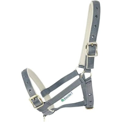 Halster voor paarden Bucas Dublin