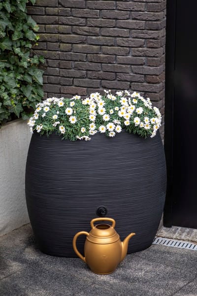 Capi Europe - Regenton Rib 250L - 48x102x92 - Zwart - Voor buiten - Breukbestendig - Lichtgewicht - Levenslang garantie