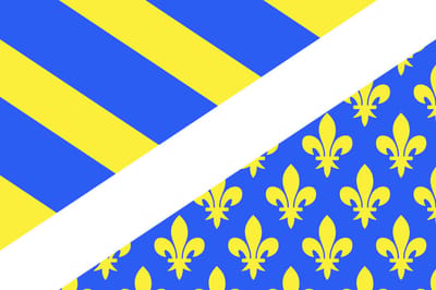 Vlag Oise 100x150cm