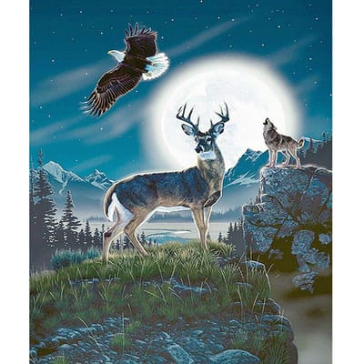 Volledige Ronde Boor 5d Diamant Schilderen Landschap Mozaïek DIY Diamant Borduurwerk 20X30CM white
