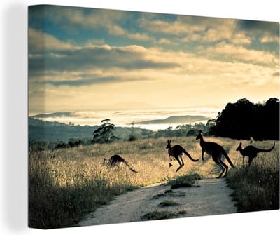 Kangoeroes op de weg Canvas 90x60 cm - Foto print op Canvas schilderij (Wanddecoratie woonkamer / slaapkamer)