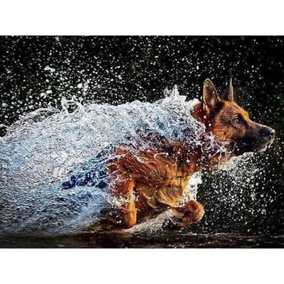 Diamant borduurwerk ambachtelijke schilderij diamant schilderij water rennende hond steentjes borduurwerk diamant 20X30CM white