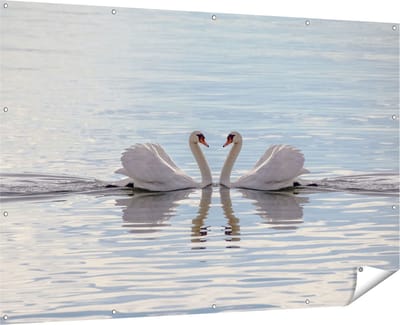 Gards Tuinposter Zwanen Koppel op het Water - 180x120 cm - Tuindoek - Tuindecoratie - Wanddecoratie buiten - Tuinschilderij