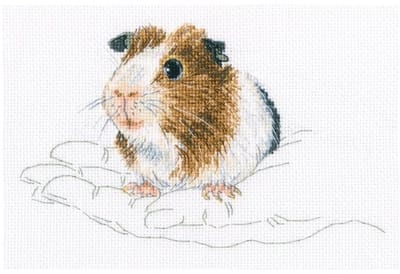 Cavia Warmth in Palms Borduurpakket RTO In handpalmen