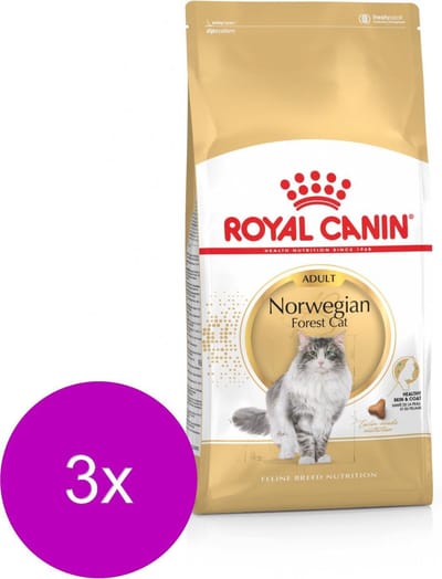 Royal Canin Norwegian Forest Cat Adult - Kattenvoer - 3 x 2 kg