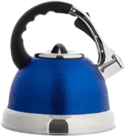 Geklokte Waterketel - Theepot RVS - Water Koken - Anti-verbrande Handgreep - 3.5 Liter - Blauw