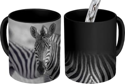 Magische Mok - Foto op Warmte Mokken - Koffiemok - Zebra's - Zwart - Wit - Magic Mok - Beker - 350 ML - Theemok