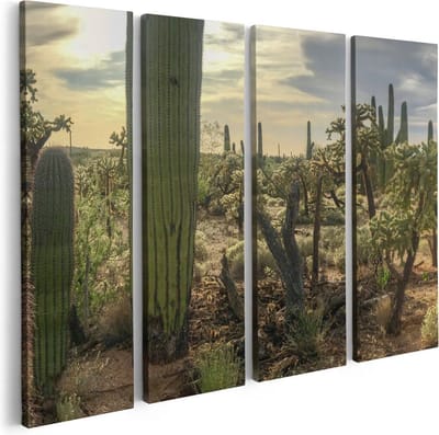 Artaza Canvas Schilderij Vierluik Cactus Planten in het Wild - 80x60 - Foto Op Canvas - Canvas Print