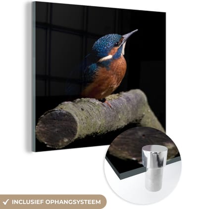 MuchoWow® Glasschilderij 90x90 cm - Schilderij acrylglas - IJsvogel - Tak - Veren - Zwart - Foto op glas - Schilderijen