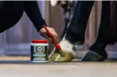 Leovet - Hydro Hoof Gel - 750 ml