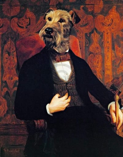 Kunstdruk Thierry Poncelet - Monsieur 28x35cm