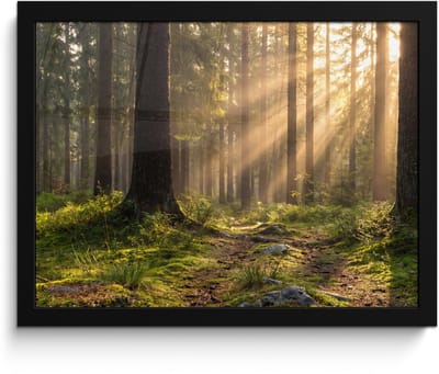 Poster in lijst - Fotolijst 40x30 cm - Posters - Bos - Zonlicht - Gras - Posterlijst zwart - Decoratie - Wanddecoratie woonkamer - Muurdecoratie slaapkamer