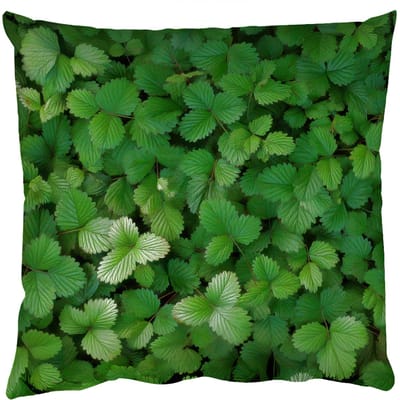 Sierkussens - Kussentjes Woonkamer - 50x50 cm - Groen - Bladeren - Kartel - Zonlicht