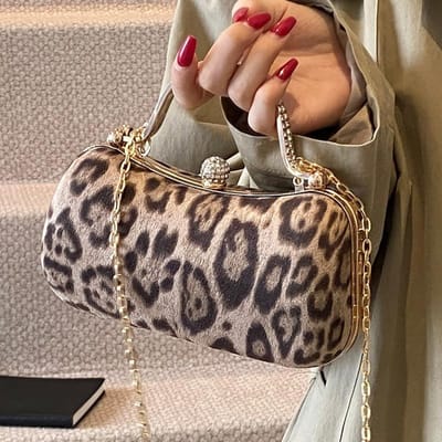Kleine tas met luipaardprint voor dames Nieuwe Europese en Amerikaanse Stijl Mode Retro Schoudertas Handtas voor Dames Avondtas brown