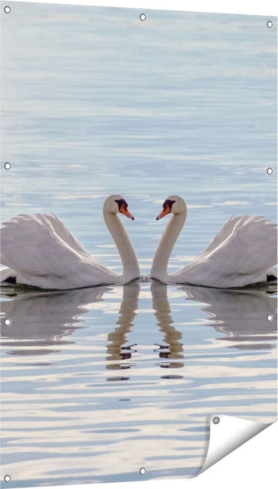Gards Tuinposter Zwanen Koppel op het Water - 80x120 cm - Tuindoek - Tuindecoratie - Wanddecoratie buiten - Tuinschilderij