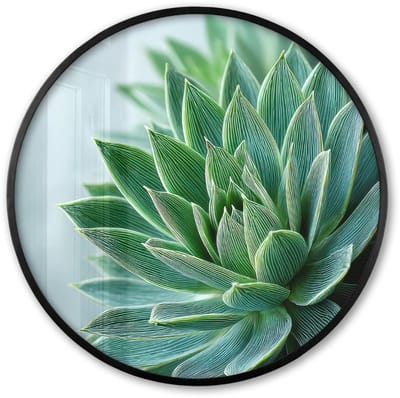 Poster in lijst Rond - Fotolijst 60x60 cm - Posters - Vetplant - Bladeren - Groen - Wazig - Ronde posterlijst zwart - Decoratie - Wanddecoratie woonkamer - Muurdecoratie slaapkamer