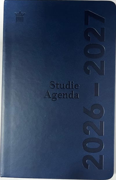 Ryam | Studie agenda DeLuxe | 2026/2027 | Genaaid gebonden | 12 mnd | B6 | Blauw |