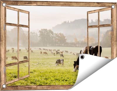 Gards Tuinposter Doorkijk Zwart Witte Koeien in de Wei - 60x40 cm - Tuindoek - Tuindecoratie - Wanddecoratie buiten - Tuinschilderij