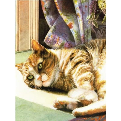 Peinture diamant thème chat et chien, broderie complète 5D à faire soi-même, points de croix, Kits de mosaïque amusants, broderie diamant 20X30CM beige