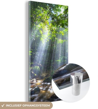 MuchoWow® Glasschilderij 20x40 cm - Schilderij acrylglas - Zonnestralen dringen door de bomen het regenwoud in Maleisië binnen - Foto op glas - Schilderijen