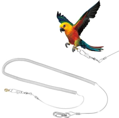 Dailygoody - Parrot Bird Anti-bite Vliegend Touw - Ideaal voor Vogeltraining - 6 Meter - Vogel Speelgoed - Geschikt voor Cockatiels en Sterrenvogels