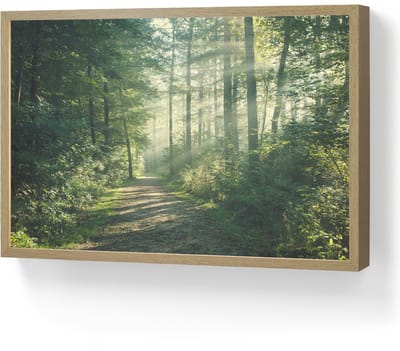Wandlamp 60x40 cm - Oplaadbaar - Bos - Pad - Zon - Bomen - Groen - Natuur - Wandlampen binnen woonkamer - Slaapkamer lamp - Decoratieve nachtlamp - Vloerlamp draadloos