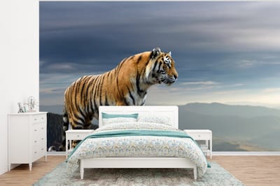 Behang - Fotobehang Tijger - Berg - Natuur - Landschap - Breedte 375 cm x hoogte 280 cm