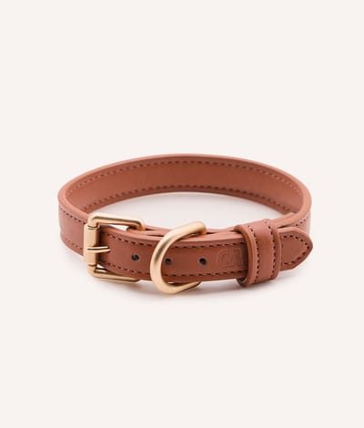 Vegan leren halsband – Bruin – Comfortabel & verstelbaar – Jala