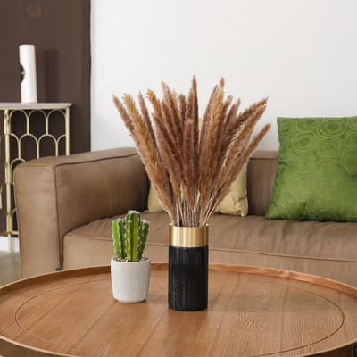 Fluffy Pampas - 15 stuks - Droogbloemen - Droogbloemen pluimen - Naturel grassen - 70 cm - Natuurlijk Bloemen