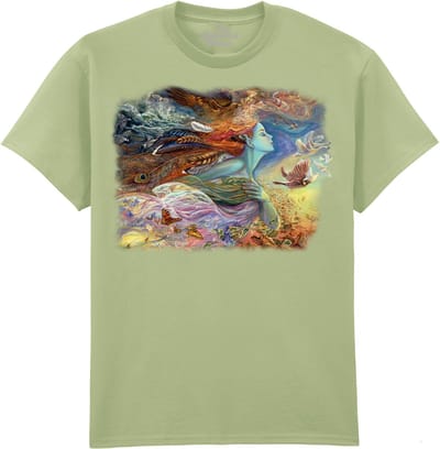 Spirit Of Flight The Coloured House T-shirt M