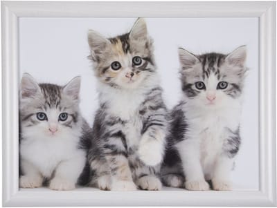Mars & More Schoottafel schootkussen- katten -kittens - poezen print - 43 x 33 cm