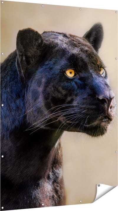 Gards Tuinposter Zwarte Panter met Oranje Ogen - 120x180 cm - Tuindoek - Tuindecoratie - Wanddecoratie buiten - Tuinschilderij