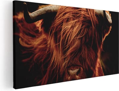 Artaza Canvas Schilderij Schotse Hooglander - 40x20 cm - Klein - Wanddecoratie Woonkamer - Muurdecoratie Dieren - Canvas Schilderij Hooglander