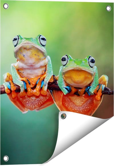 Gards Tuinposter Twee Boomkikkers op een Tak - 40x50 cm - Tuindoek - Tuindecoratie - Wanddecoratie buiten - Tuinschilderij