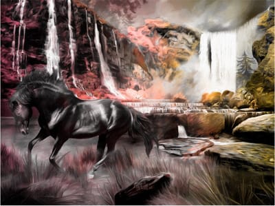 Fotobehang - Zwart paard door een waterval.