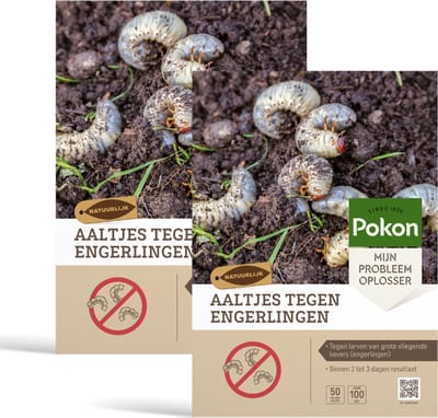 Pokon Aaltjes tegen Engerlingen - 100 miljoen Aaltjes voor 200m² gazon - Natuurlijke engerlingenbestrijding - Resultaat binnen 2 tot 3 dagen
