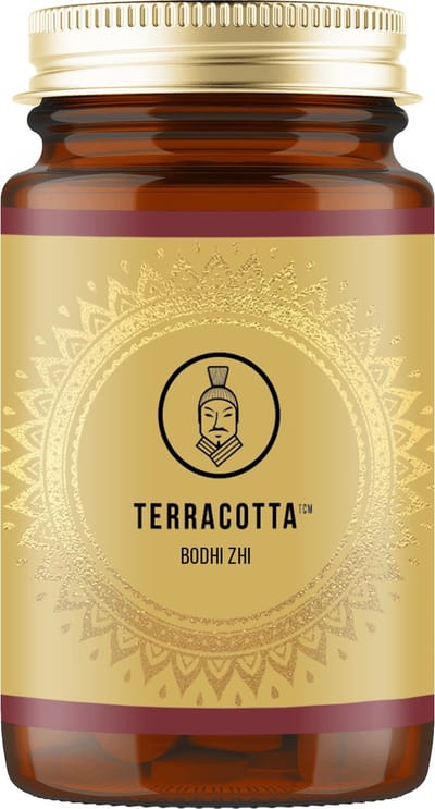 Terracotta TCM BODHI-ZHI paddenstoelen combi 90 Caps: Lion's Mane en Cordyceps Sinensis