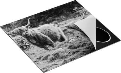 Chefcare Inductie Beschermer Twee Schotse Hooglanders bij Stenen - Zwart Wit - 60x50 cm - Afdekplaat Inductie - Kookplaat Beschermer - Inductie Mat
