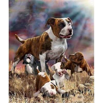 Diamant schilderij Pit Bull Terrier hond volledige boor strass borduurwerk foto's keuken kunst ambachten 30X40CM