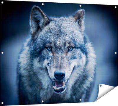 Gards Tuinposter Wolvenkop met Blauwe Ogen - Wolf - 120x90 cm - Tuindoek - Tuindecoratie - Wanddecoratie buiten - Tuinschilderij