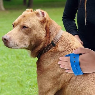 Narimano® Hondenbadverzorgingsborstel, dierenhaarmassageborstel, verstelbare zachte siliconen kam voor hond en kat
