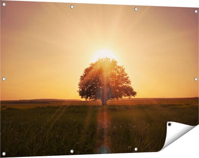 Gards Tuinposter Zonsondergang Achter een Grote Boom - 120x80 cm - Tuindoek - Tuindecoratie - Wanddecoratie buiten - Tuinschilderij