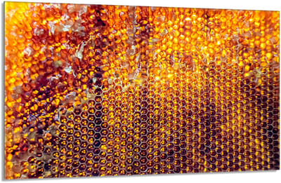 TMK ArtDeko - Glazen Beschermplaat - 80x52 cm - Multifunctionele Plaat - Makkelijk te Reinig