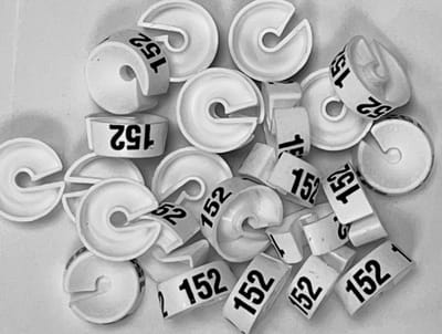 Bleijenberg Maatdopje maat 152 wit - Maataanduiding voor kledinghangers per 25 stuks - Maatringetje Ø 20 mm - Kledinghangers - Kleerhanger - Kapstok - Mark-Brics - wisersizer