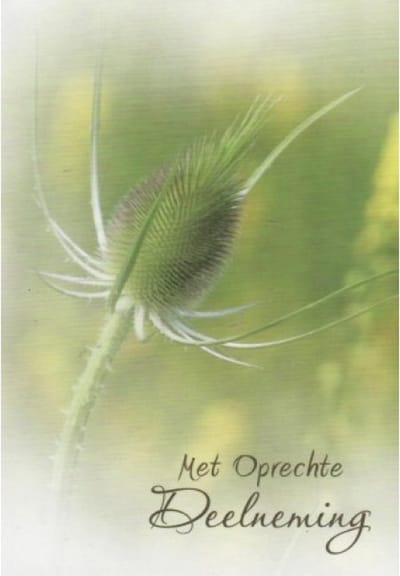 Met oprechte deelneming. Veel sterkte toegewenst bij dit verlies. Een kaart met een bloem op de voorgrond. Een dubbele wenskaart inclusief envelop en in folie verpakt.