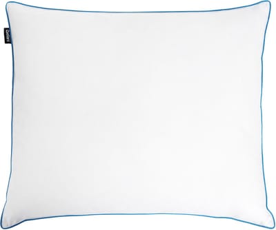 ANETO - Hoofdkussen 3 vakken - Wit - 50 x 60 cm - Hoog - Eendenveren