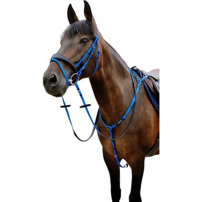 Gecombineerd hoofdstel met neusriem Norton Pop